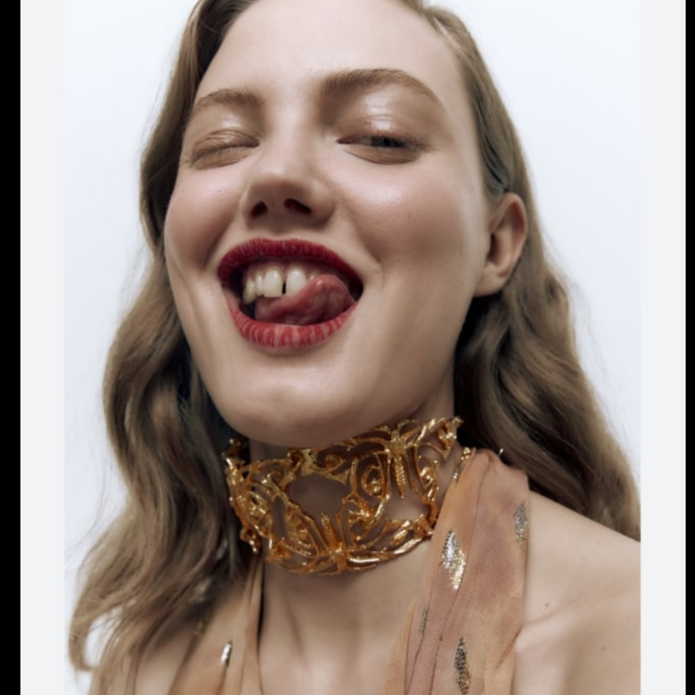 BNWT! Zara butterfly chocker